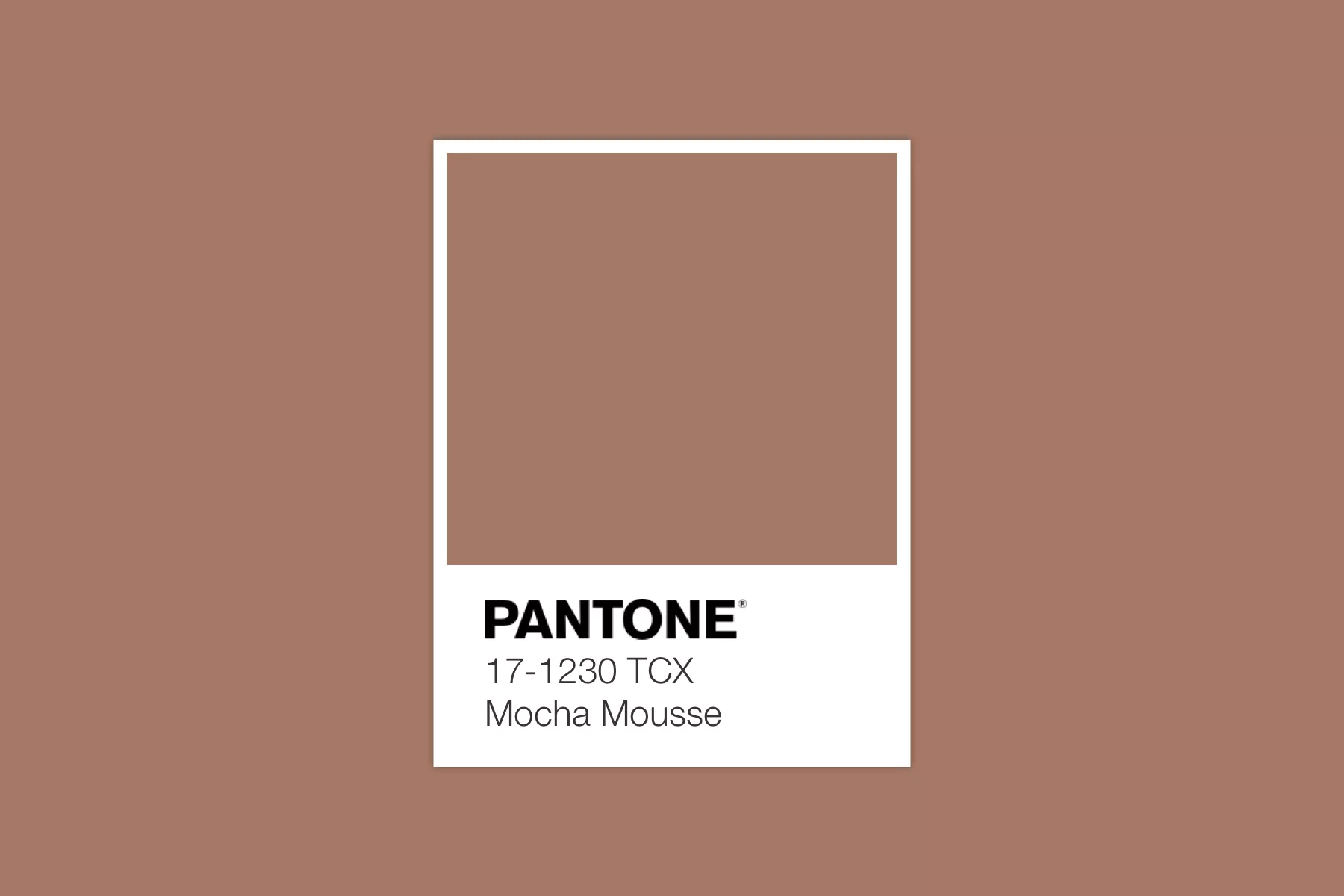 Styling Hardware with 2025’s Pantone Colour of the Year Mocha Mousse